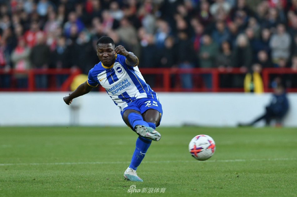 进本地橄榄 进本地橄榄